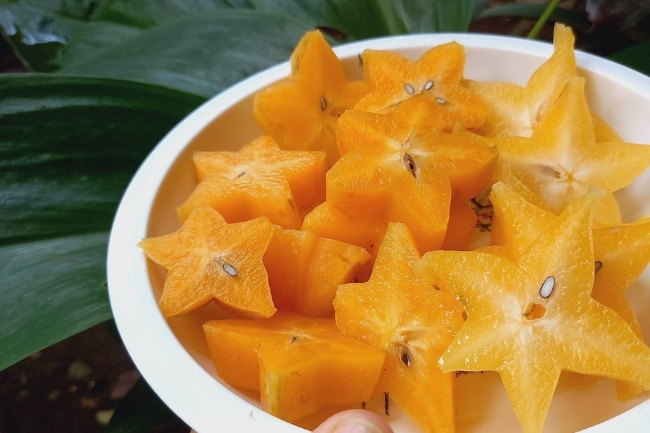 Starfruit (Carambola)